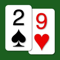 29 Card Game - Expert AI icon