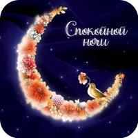 Спокойной ночи icon