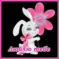 Люблю тебе. Кохаю icon