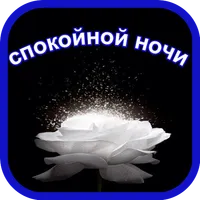спокойной ночи icon