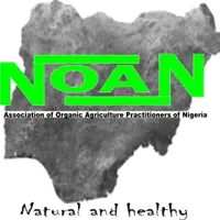 NOAN icon