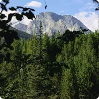 Jackson Hole Travel Guide icon
