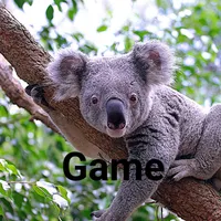 Koala Game-Adventure game icon