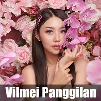Vilmei Panggilan Wallpapers HD icon