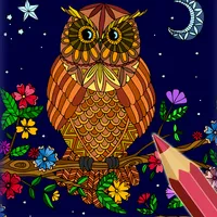 Owls Color by Number Drawings icon