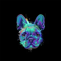 CELEBRITY FRENCHIES USA icon