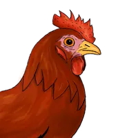 Poule icon