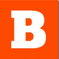 Bizaad Vendor icon