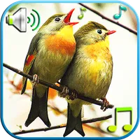 Birds Sounds & Ringtones icon