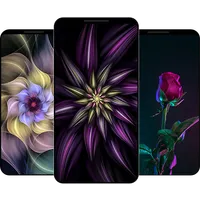 Flower Wallpaper icon