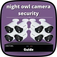 night owl security guide icon