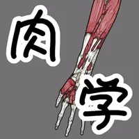 肉学(上肢) icon
