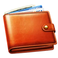 Wallet - Income and Expense icon