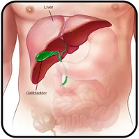 Liver Pain Home Remedies icon