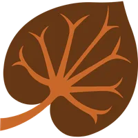 НПНГО мероприятия icon