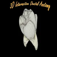 3DInteractiveDentalAnatomy icon