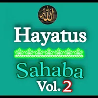 Hayatus Sahaba Vol 2 ( Hindi ) icon
