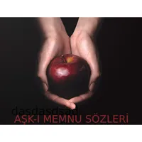 Aşkı Memnu ve Bihter Sözleri icon