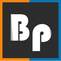 Puck ball icon