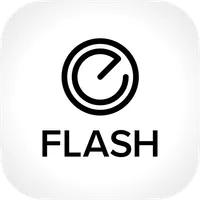 E-flash icon