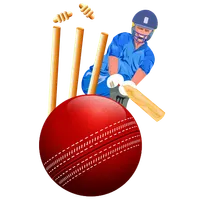 Cricket Sticker Packs icon