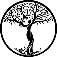 Lifespan Calculator icon
