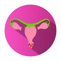 HYST icon