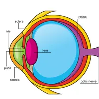 Optics Quizz icon