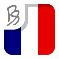 NU Beter Frans icon