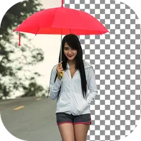 Auto Background Changer - Edit icon