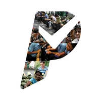 Payism icon