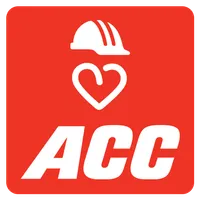 ACC Safety Feedback icon