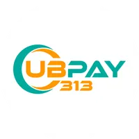 UBPay 313 icon