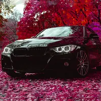 F30 Drift & Parking Simulator icon
