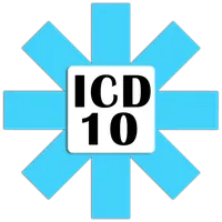 ICD 10 Professional icon