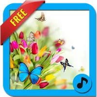 Relax ringtones icon