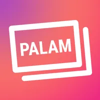 Palam Flash Card - Brand New M icon