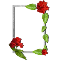 Floral photo Frames icon