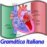 Gramática Italiana icon