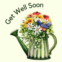 Get well soon wishes ecards icon