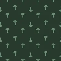 Memory Cards icon