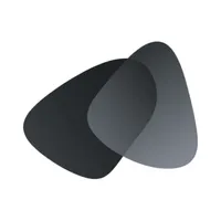 PayWage icon