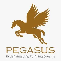 PEGASUS INC icon