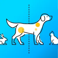 PetHealth 3D icon