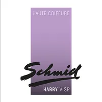 Haute Coiffure Harry Schmid icon