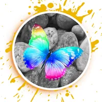 Color splash effects - Graphic icon