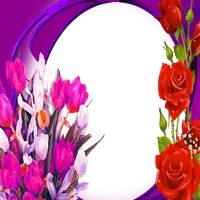 Photo Frame icon