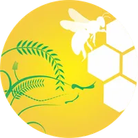 Бальзамы Короткова icon