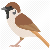 Сервіс зворотнього зв'язку PIA icon