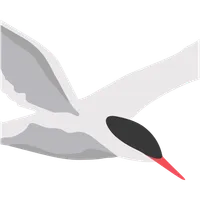 Ternmet icon